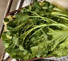 Guangdong Western Vegetable