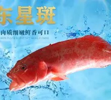 Golden Threadfin Bream
