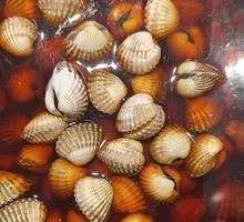 Blood Clam