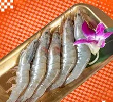 Grilled Shrimp