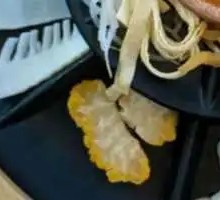 Fresh Tremella Fungus