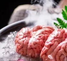 Fresh Pig Brain