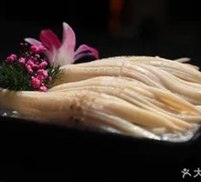 Rocket Squid