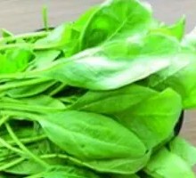 Spinach