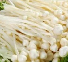 Enoki Mushroom
