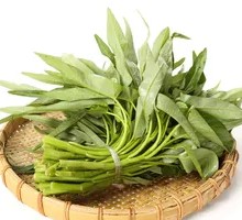 Water spinach