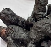 Squid Ink Fried Pork