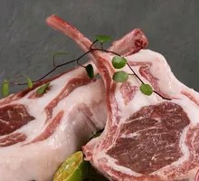 Grilled French-style Lamb Chop
