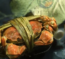 Male Soft-Shelled Crab