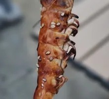 Grilled Shrimp