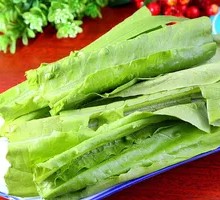 Oilseed lettuce