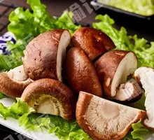 Shiitake Mushroom