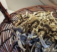 Crispy Fried Fresh Mushrooms