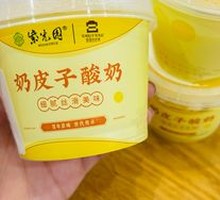 Creamy Milk Yogurt