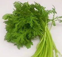 Bamboo Shoots