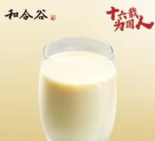 Rich Soy Milk