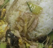 Wood Ear Mushroom and Pork Rice Bowl