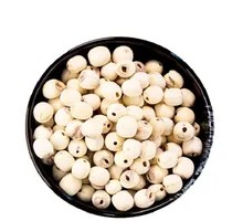 White Lotus Seeds