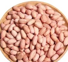 Roasted Peanut Seeds