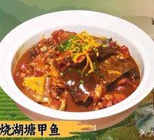 秘烧湖塘甲鱼