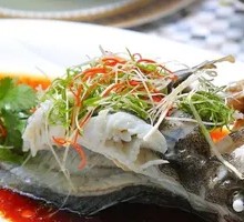 Steamed Grouper