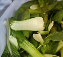 Unlimited baby bok choy