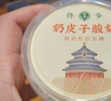 Creamy Milk Yogurt