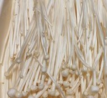 Enoki Mushroom