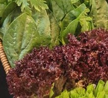 Mixed Seasonal Vegetables Platter