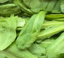 Chinese chrysanthemum greens