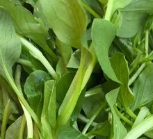 Chicken Greens
