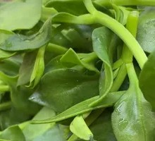 Bitter Leaf