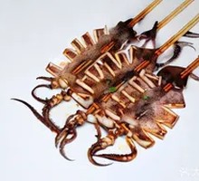 Grilled Squid