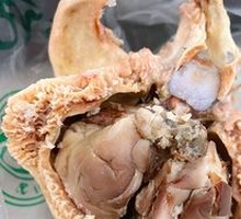 Sheep Brain