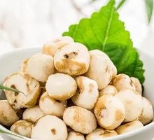 Hailing Island Pearl Water Chestnut