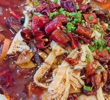 Premium Maoxuewang