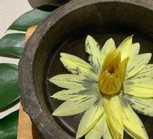 Golden Lotus with Mountain Delicacies
