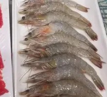 Large Shrimp