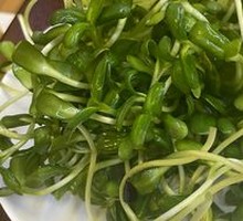 Pumpkin Seed Sprouts