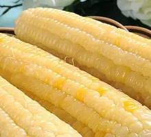 Northeast Sticky Corn