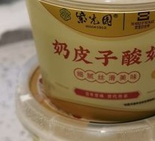 Creamy Milk Yogurt