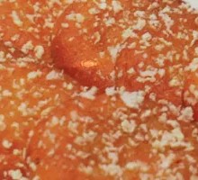 Pumpkin Pancake