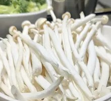 Seafood Mushroom
