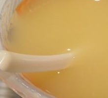 Cornmeal Porridge