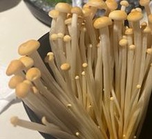 Golden Enoki Mushrooms