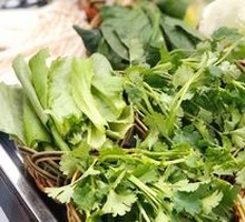 Romaine lettuce
