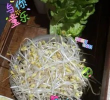 Bean sprouts