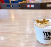Homemade Honey Yogurt