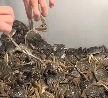 Crab