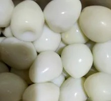 Quail Egg